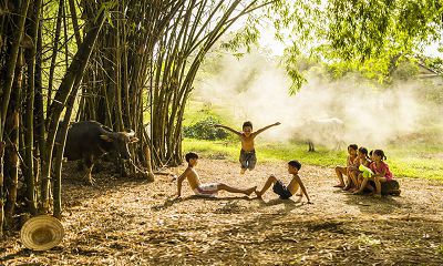 Bamboo in Vietnamese Culture