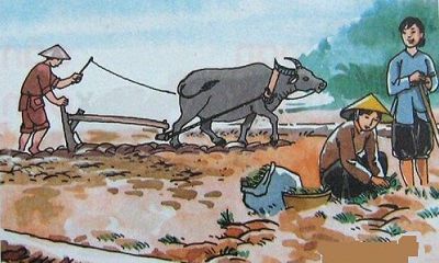 Buffalo With Vietnamese Culture