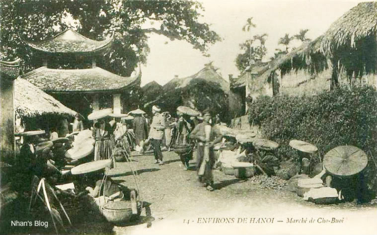 cho-buoi
