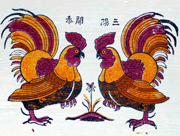 ga choi qosh