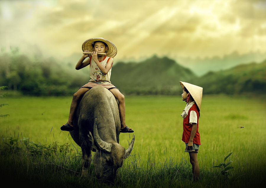 manipulation-and-retouch-by-vc483n-dc6b0c6a1ng