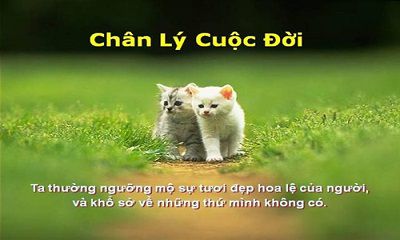 YÊU NGƯỜI YÊU TA