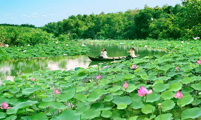 NẾU CÒN THƯƠNG YÊU