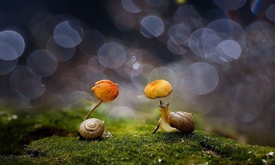 CÀNG NHÌN CÀNG TIẾC