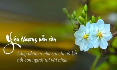 TÌNH PHU THÊ