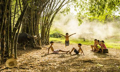 Cây Tre Việt Nam