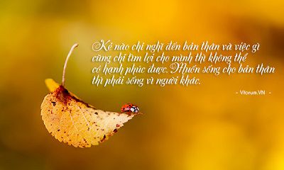 NỤ HỒNG MONG MANH
