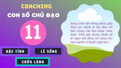SỐ CHỦ ĐẠO - 11