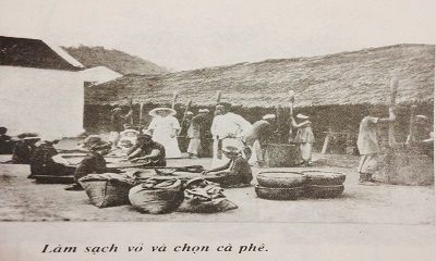 LỊCH SỬ CÀ PHÊ THẾ GIỚI VÀ TẠI VIỆT NAM RA ĐỜI RA SAO ?