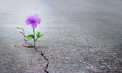NGHỊCH CẢNH SỰ ĐỜI - 1