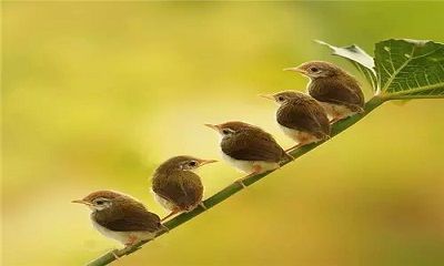 ÔNG TRỜI CÓ HAY KHÔNG ?