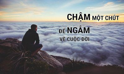 ĐẤT LÀNH CHIM ĐẬU