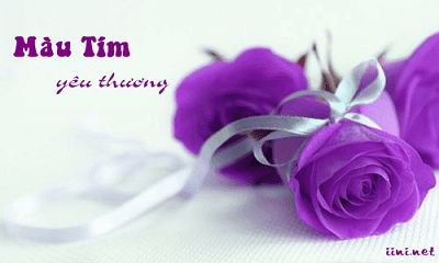 THỦY CHUNG VỢ CHỒNG