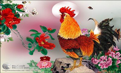Giải Mã Gà Trống Trong Văn Hóa ?