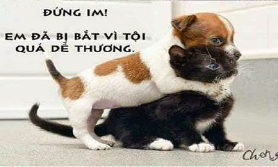 ĐỊNH NGHĨA QUẢNG CÁO