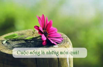 NIỀM TIN SÓNG WIFI