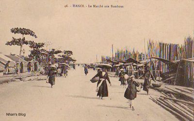 HÀNG TRE