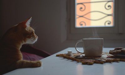KHI NƯỚC SÔNG NGỪNG CHẢY