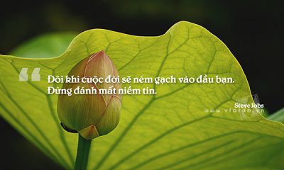 GIÁ TRỊ NHÂN SINH
