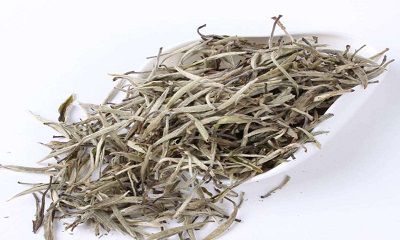 TRUYỀN THUYẾT BẠCH TRÀ