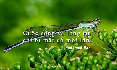 LỜI HAY Ý ĐẸP